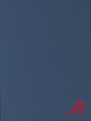 Алюминиевая композитная панель 3-02 1220/4000 G 0859 Sky Silver GoldStar