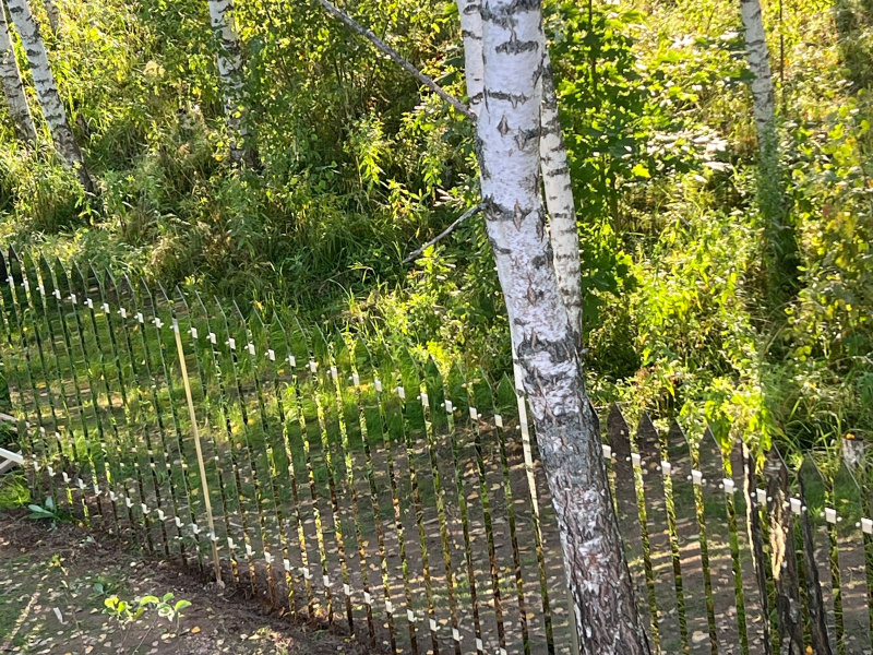 Зеркальный забор из алюминиевых композитных панелей "Серебряное зеркало" – стильное решение для вашего участка