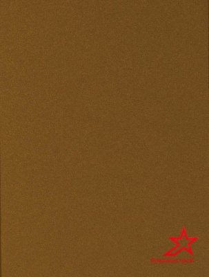 Алюминиевая композитная панель 3-02 1220/4000 G 9801 Gold GoldStar