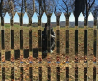 Зеркальный штакетник 115х1700 мм