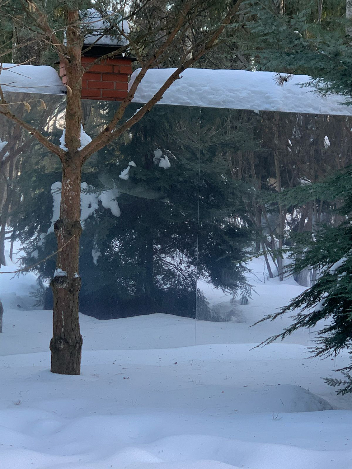 Зеркальный забор из алюминиевых композитных панелей "Серебряное зеркало" – стильное решение для вашего участка