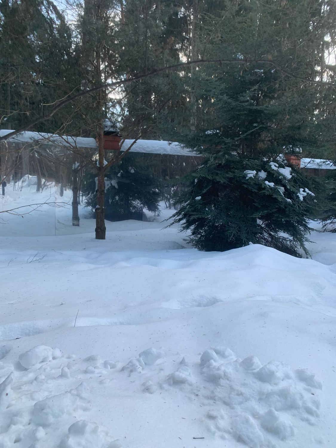 Зеркальный забор из алюминиевых композитных панелей "Серебряное зеркало" – стильное решение для вашего участка